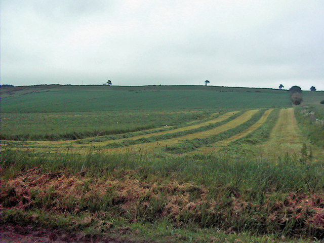 First Cut - geograph.org.uk - 462598