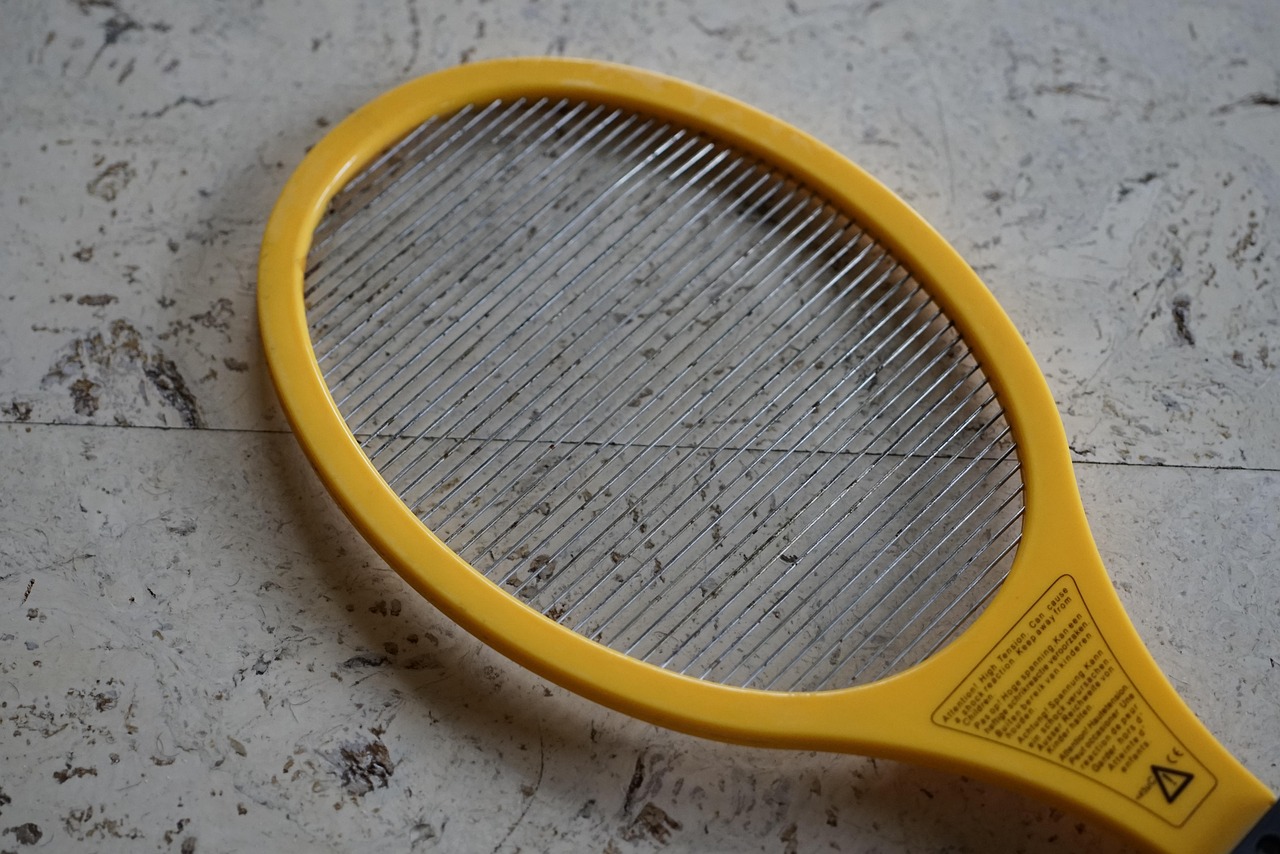 fly swatter, flyswatter, electric, tool, fly, killing, fly swatter, fly swatter, fly swatter, fly swatter, fly swatter, flyswatter, flyswatter